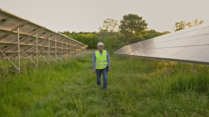 Solar Engineer Strolls Through Sunlit Panel Field