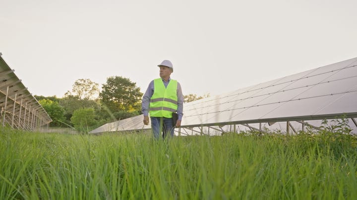 Engineer Surveys Solar Panels in Lush Green Field