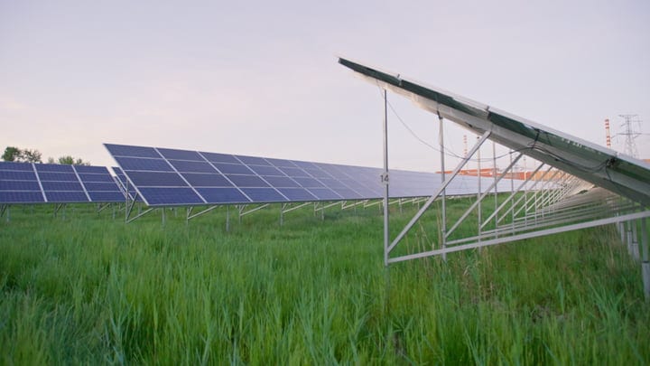 Solar Panels Stand Tall Against Dawn's Light