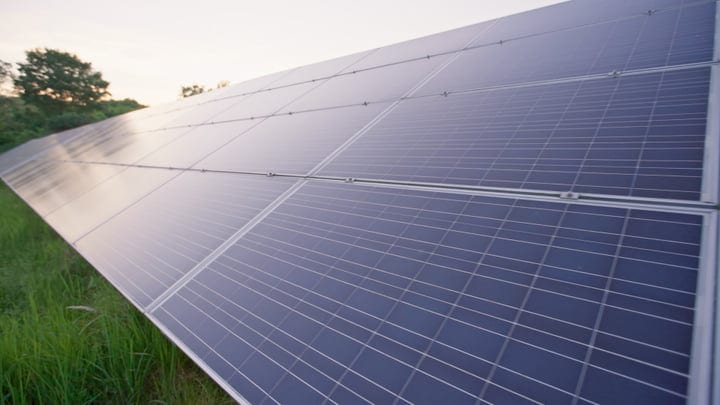 Sunlit Solar Panels Stretch Across Verdant Fields