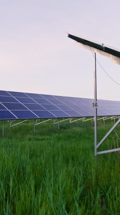 Sunset Glow Illuminates Solar Panels in Verdant Field