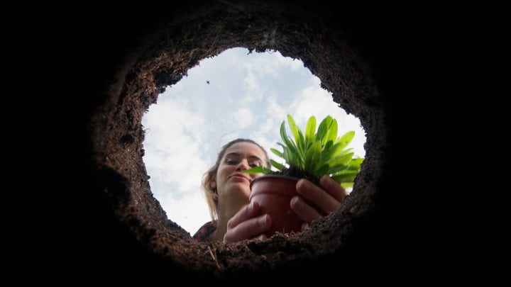 A Gardener's View From Below While Planting