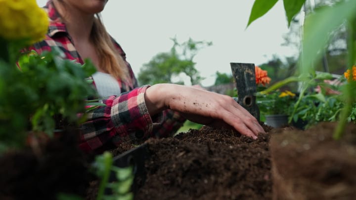 Hands In Soil: A Morning Of Garden Bliss