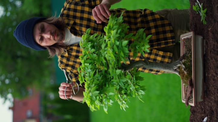 Focused Gardener Pruning a Bonsai Tree Outdoors