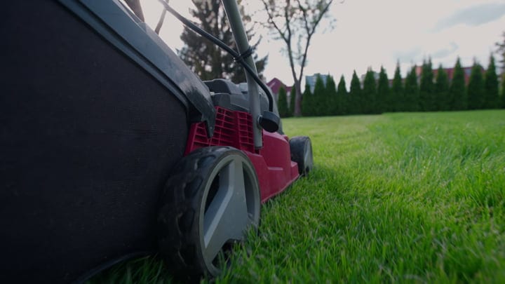 Precision Lines Cut Across a Vibrant Green Lawn