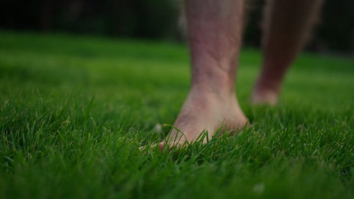 Feel The Grass Beneath Bare Feet In Summer Sunshine