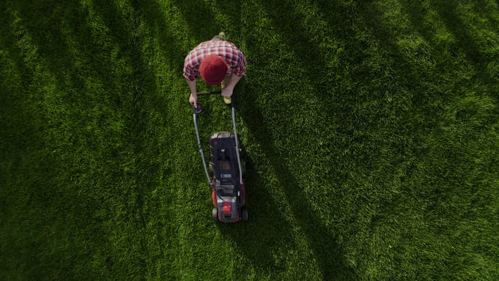 A Gardener's Precision: Mowing Lines Across Lush Grass