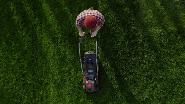 A Gardener Crafts Perfect Lines On A Lush Lawn