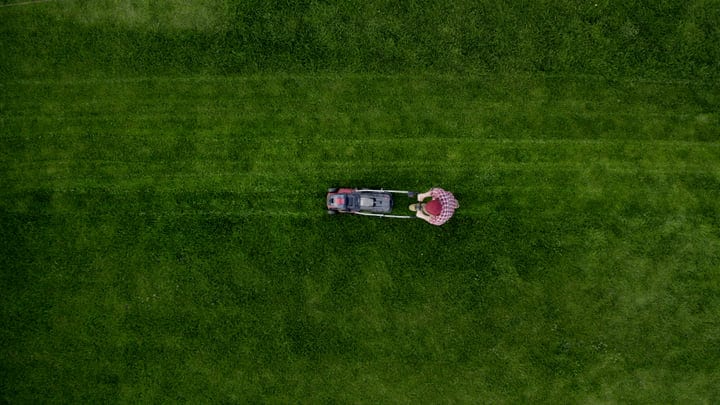 A Gardener Tends To The Lawn With Precision