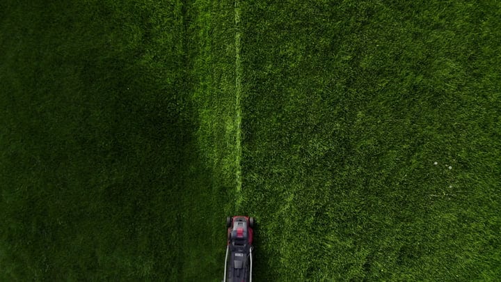A Gardener's Precision: Lawn Mower in Action