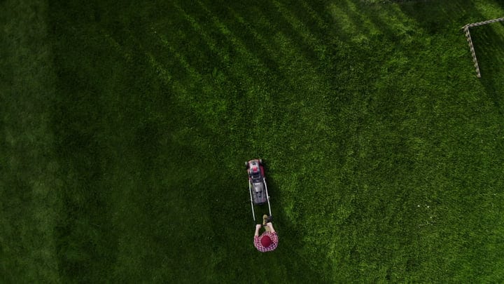 A Gardener Tends to the Lawn on a Sunny Day