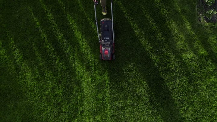 Precision Lines Etched Across a Verdant Lawn