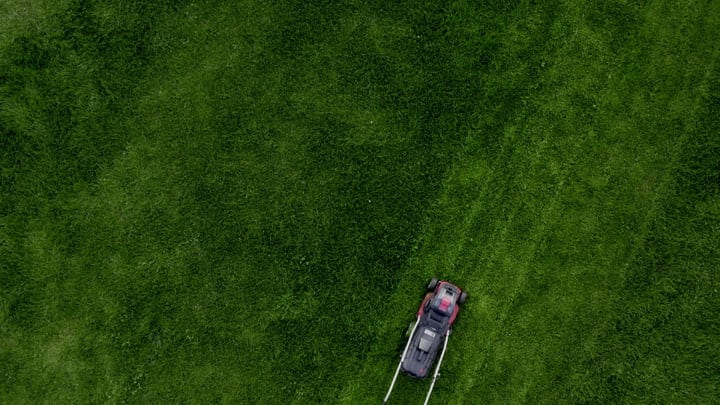 Lawn Mower Carves Perfect Lines In Verdant Grass
