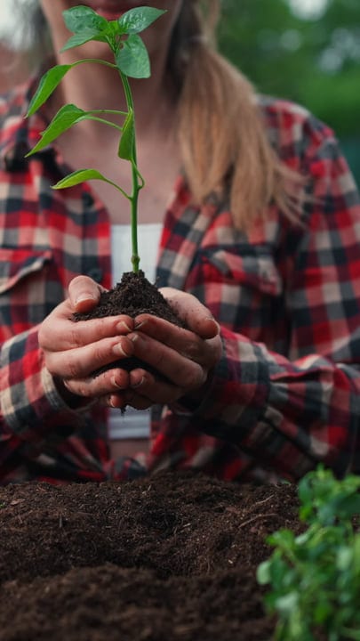 Nurturing New Growth With Tender Hands In Springtime