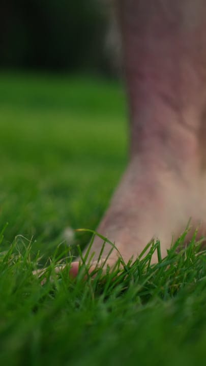 Gardener's Hand Trimming Lush Green Lawn Close-Up