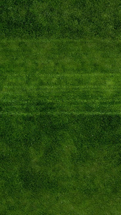 Freshly Mowed Lawn In The Heart Of Summer Greenery