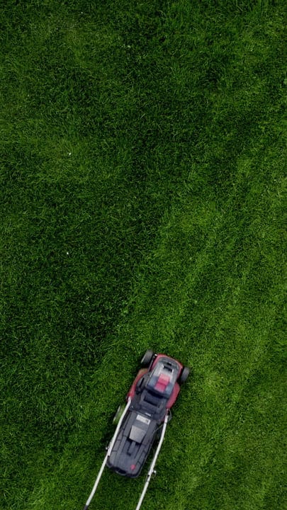 Lush Green Lawn Invites Precise Mower Lines