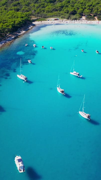 Sailboats Glide Over Turquoise Waters Near Lush Coastline