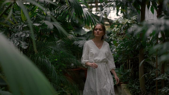 Graceful Stroll Through A Lush Tropical Garden
