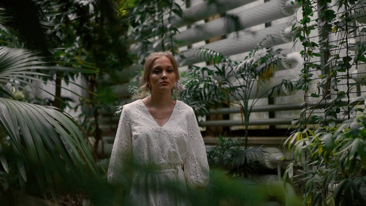 A Tranquil Stroll Through Lush Tropical Greenery