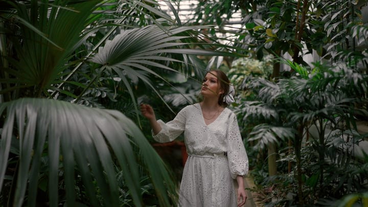 Exploring Serenity In A Lush Tropical Paradise