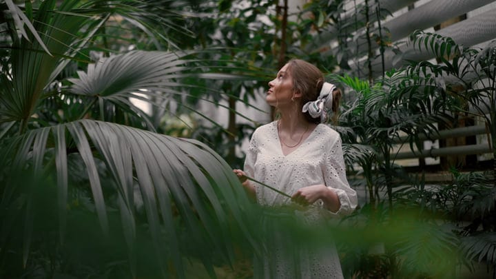 Exploring Serenity in a Lush Tropical Oasis