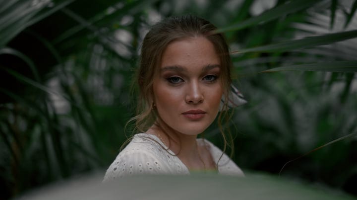 Gazing Through The Lush Leaves In A Tropical Haven