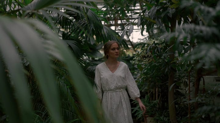 Exploring Serenity In A Lush Tropical Garden Oasis