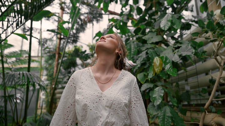 Serenity Found Under The Canopy Of Lush Greenery