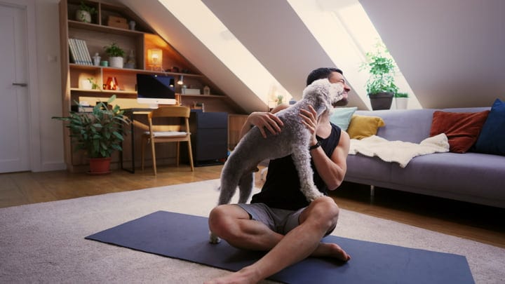 Morning Light and Puppy Kisses in Home Office