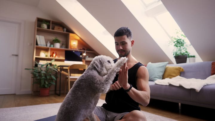 A Man Bonds With His Dog In A Cozy Attic Home