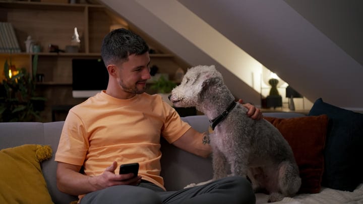 Cozy Evening Bonding With His Loyal Companion