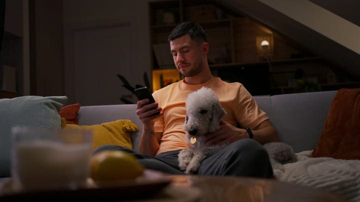 Evening Relaxation: Man Texting With Dog Companion At Home