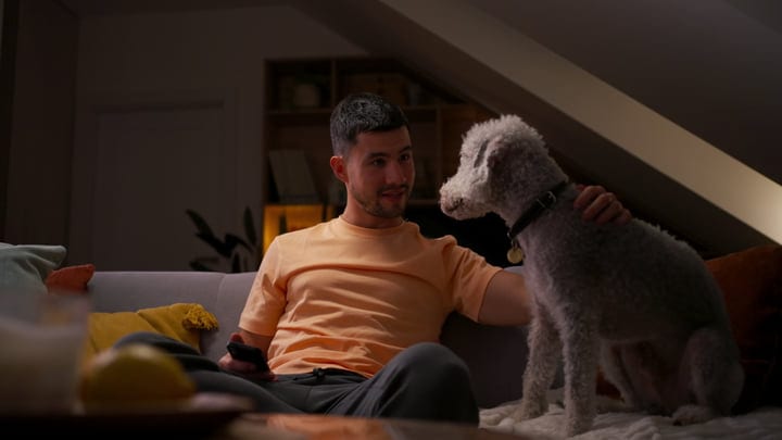 Quiet Evening With A Man And His Loyal Companion