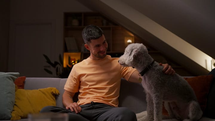 Evening Companionship: Man and Dog Share a Moment