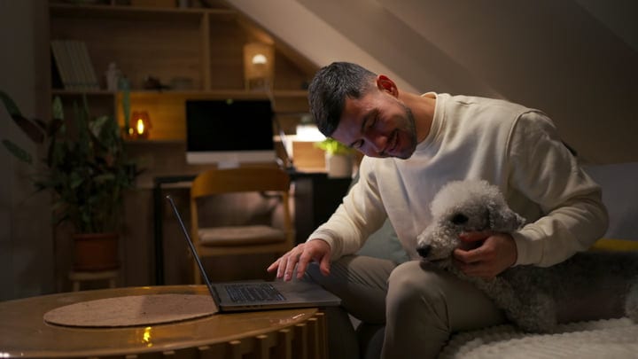 Evening Work From Home With A Loyal Companion