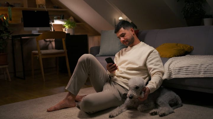 Evening Relaxation With A Loyal Companion At Home