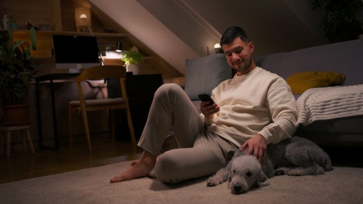 Evening Relaxation With A Loyal Companion At Home