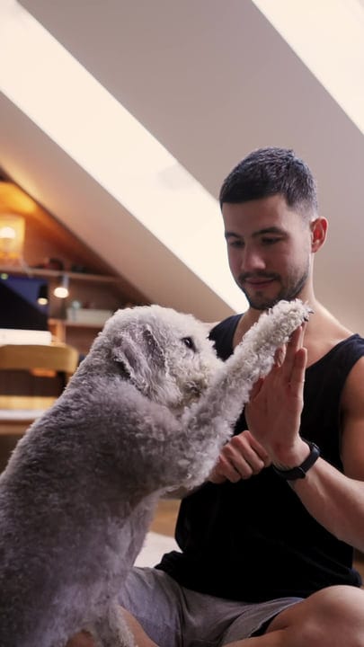 Man Balances Work And Play With His Dog
