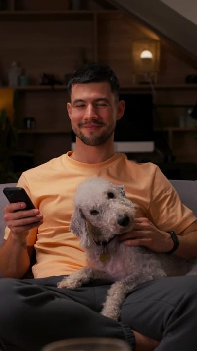 Cozy Evening Work Session With Loyal Companion