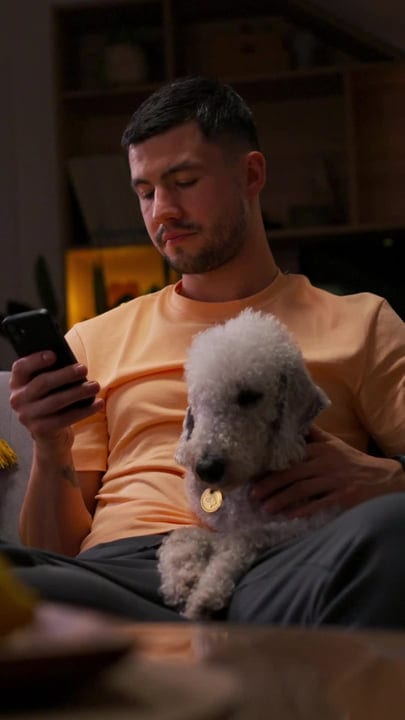 A Cozy Evening With Smartphone And Canine Companion