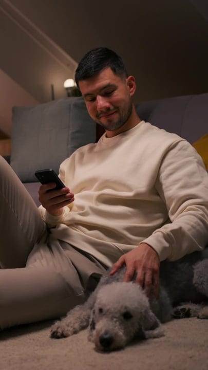 Evening Relaxation With Smartphone And Loyal Companion