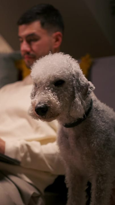 A Man Embraces Cozy Home Office With Canine Companion