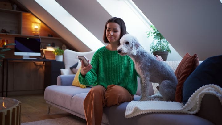 Cozy Afternoon With Pet Companion In Attic Retreat