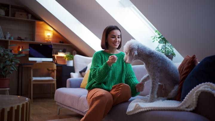 Cozy Afternoon Playtime In A Sunlit Attic Room