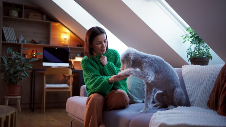 Woman Shares a Tender Moment With Her Dog at Home