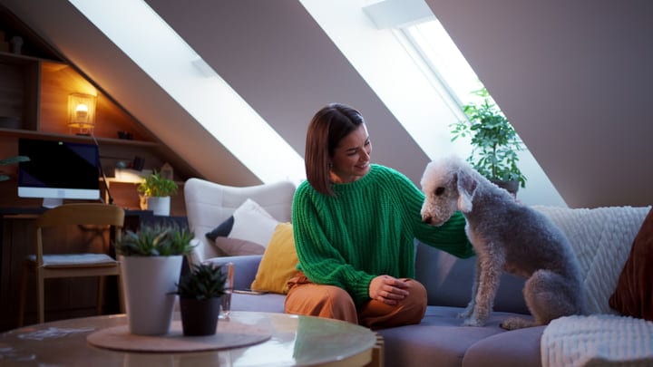 A Quiet Moment With A Loyal Companion At Home