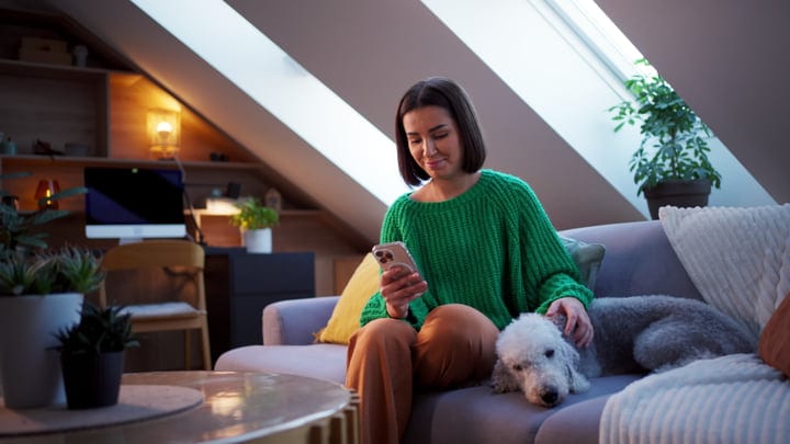 Cozy Moments With A Pet In A Sunlit Attic