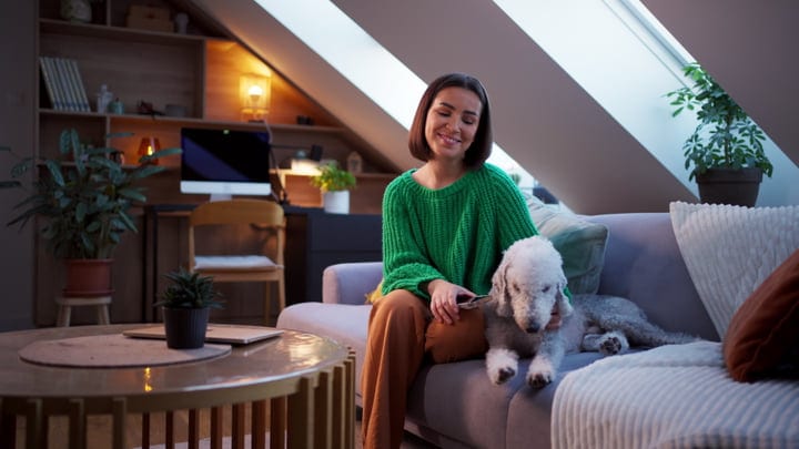 Cozy Evenings With A Furry Friend On The Sofa