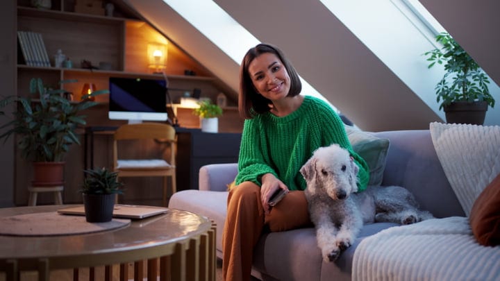 Cozy Evenings With A Loyal Companion At Home